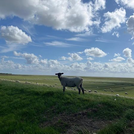 Frieda - Ferienwohnung Mit Deichblick Friedrichskoog Esterno foto