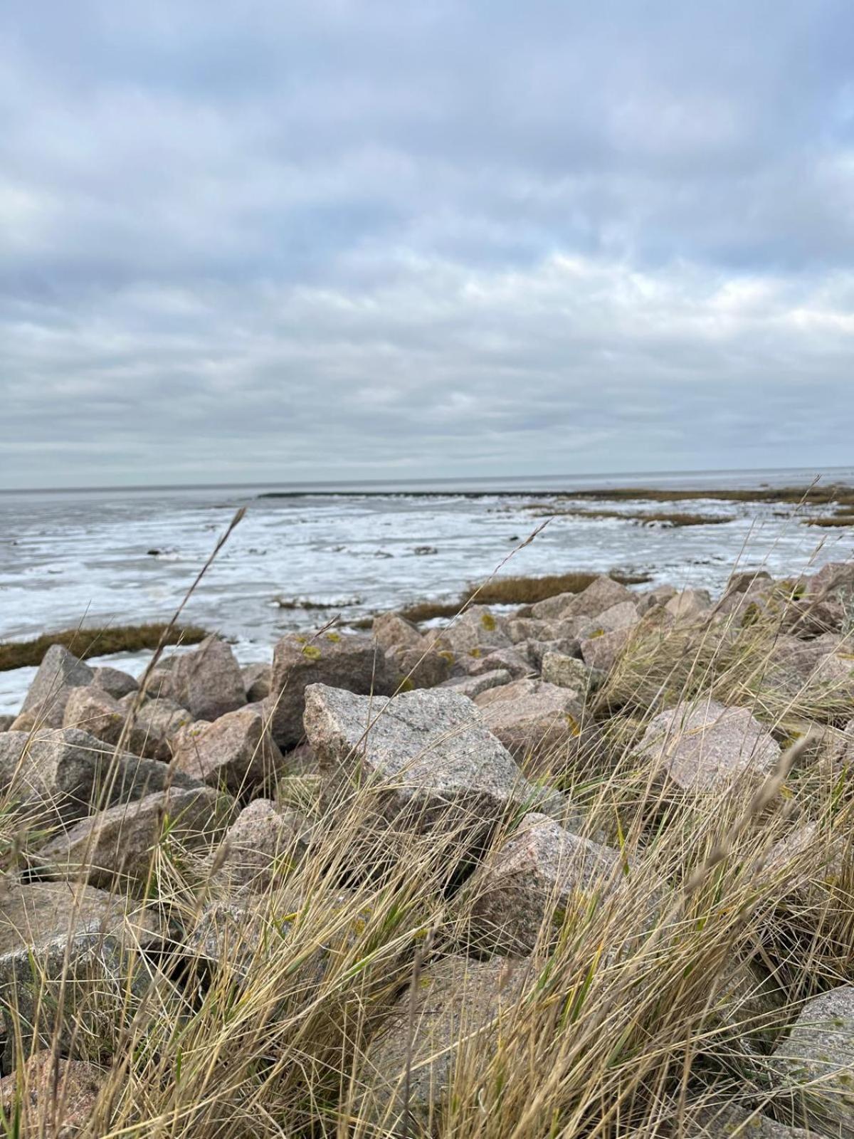 Frieda - Ferienwohnung Mit Deichblick Friedrichskoog Esterno foto
