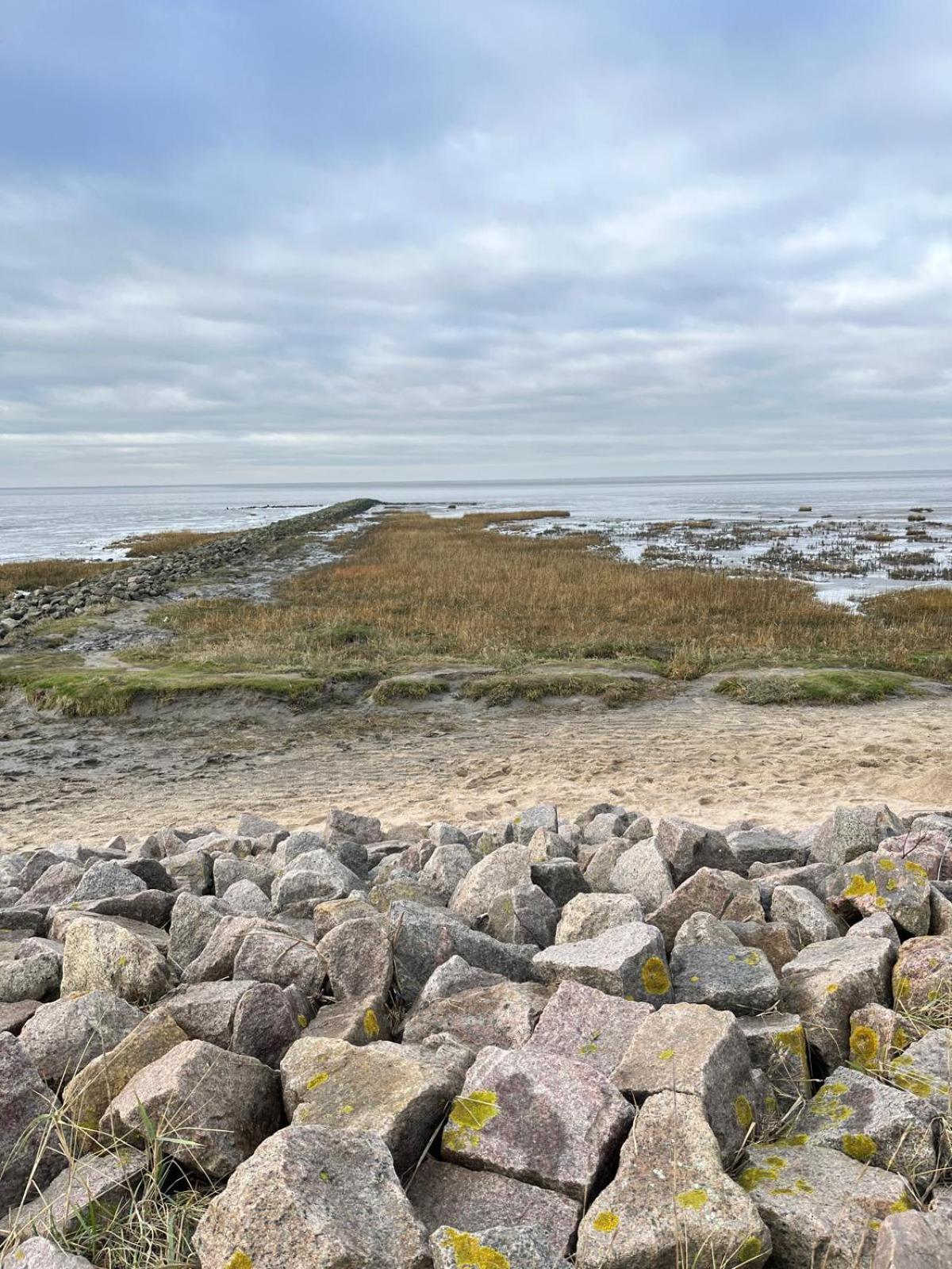 Frieda - Ferienwohnung Mit Deichblick Friedrichskoog Esterno foto