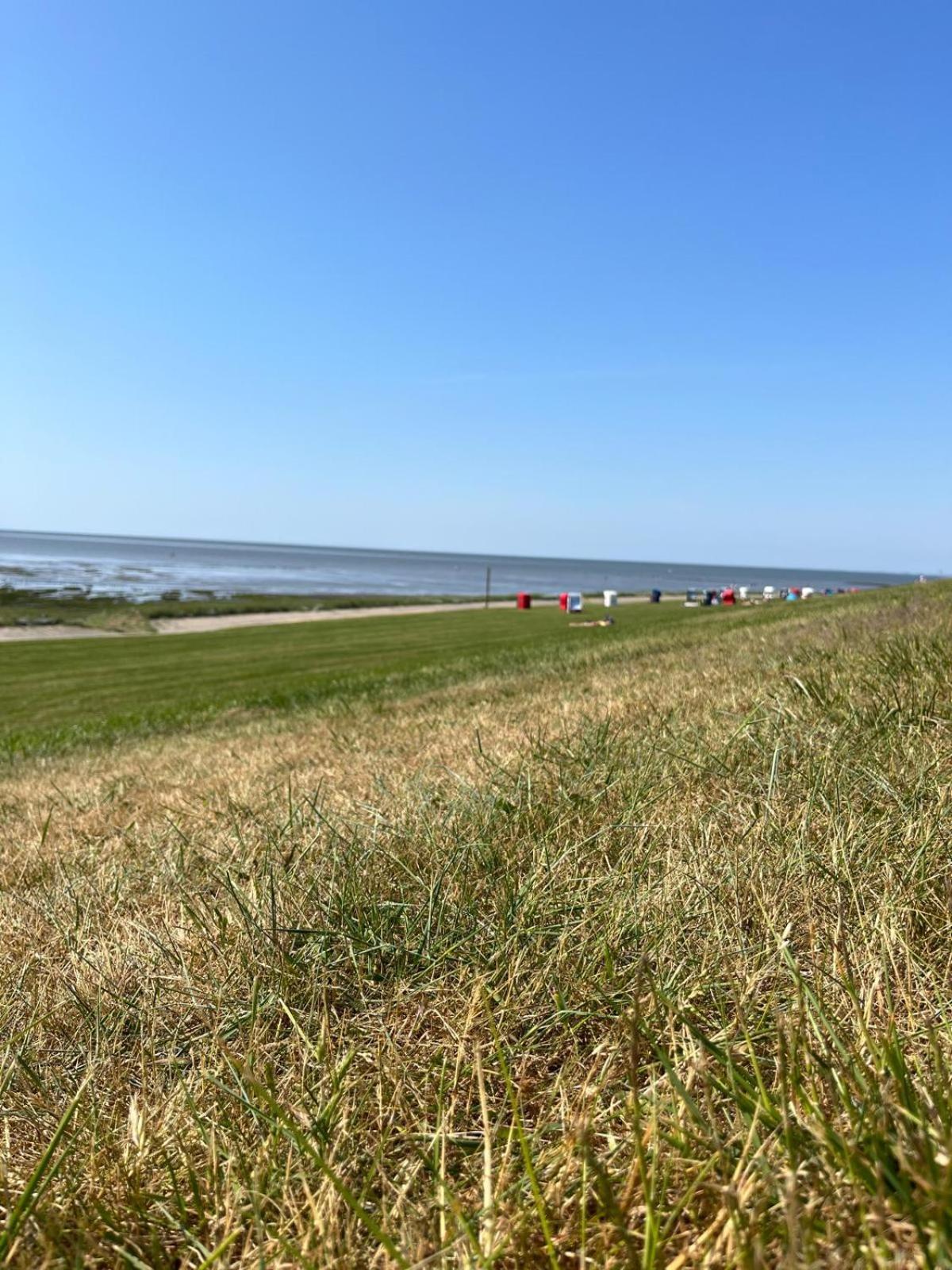 Frieda - Ferienwohnung Mit Deichblick Friedrichskoog Esterno foto